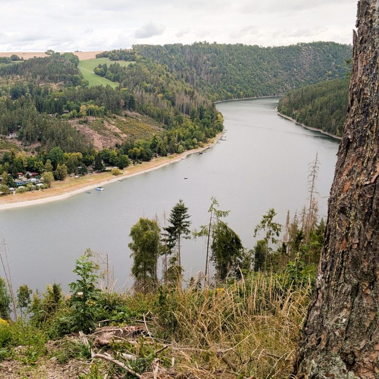 Lachs auf Kartoffelwaffel
