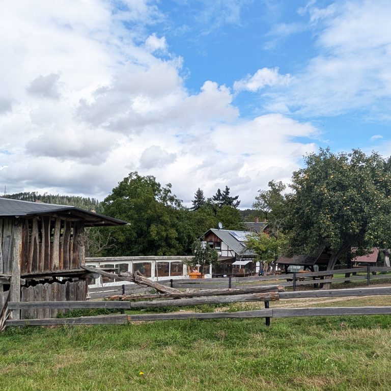 Waffel mit Cheesecakecreme und Erdbeeren